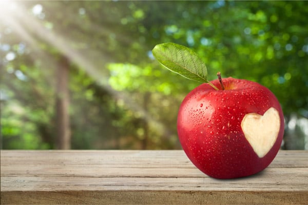 Weightloss mindset support works binge eating , overeating , and weightloss therapy and support